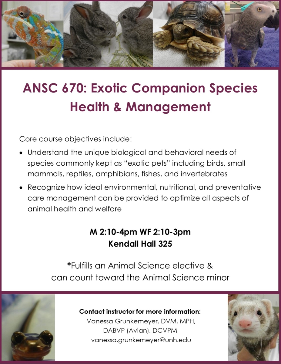 Additional course info for ANSC 670 (01) - Exotic Companion Species Health and Management